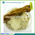 buy radix angelica sinensis extract Powder
